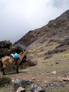 Qué es el trek del Salkantay.