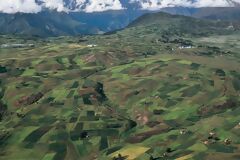 Cuzco